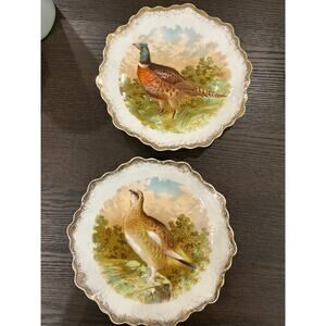 ZS and Company Antique porcelain Bavarian bird plates set
